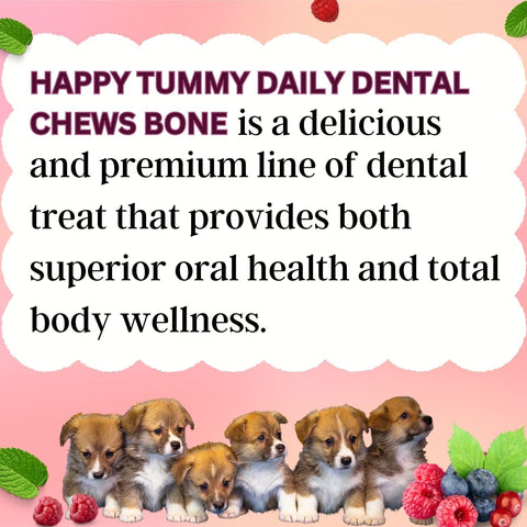 Happy Tummy Bone Treat for Medium to Large Dogs (Berries Bone, 7 Pieces, Large) | Daily Dental Chew for Dogs | Improves Mental Function, Anti-Inflammatory | Sold by Foodie Puppies with Free Key Ring